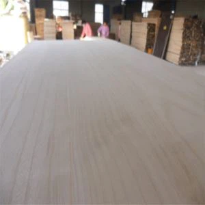 पतंग के लिए पॉलाउनिया बोर्ड